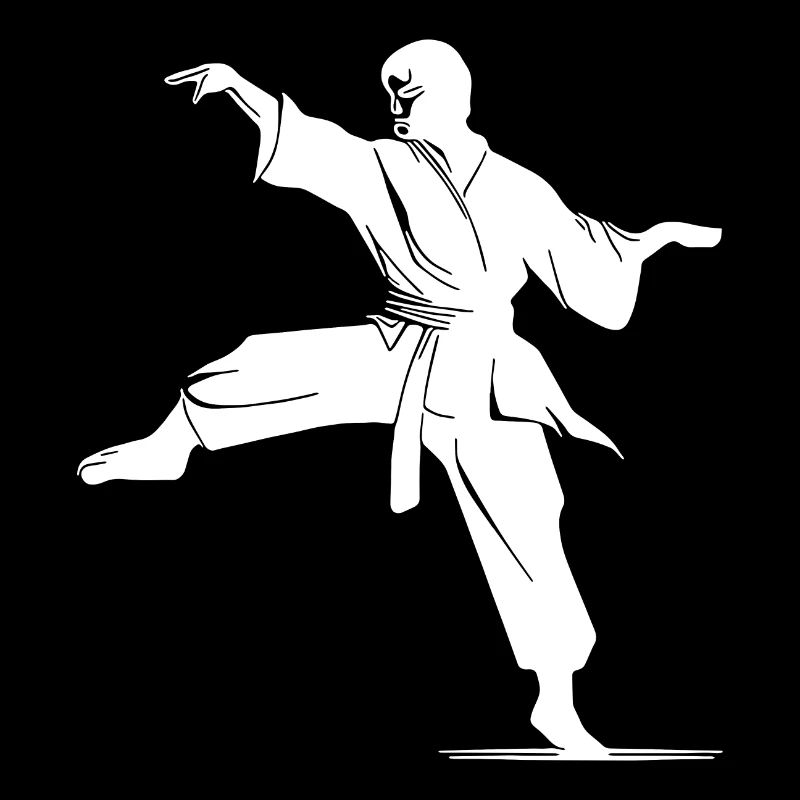 Karaté, arts martiaux, Karaté combattants, compétition