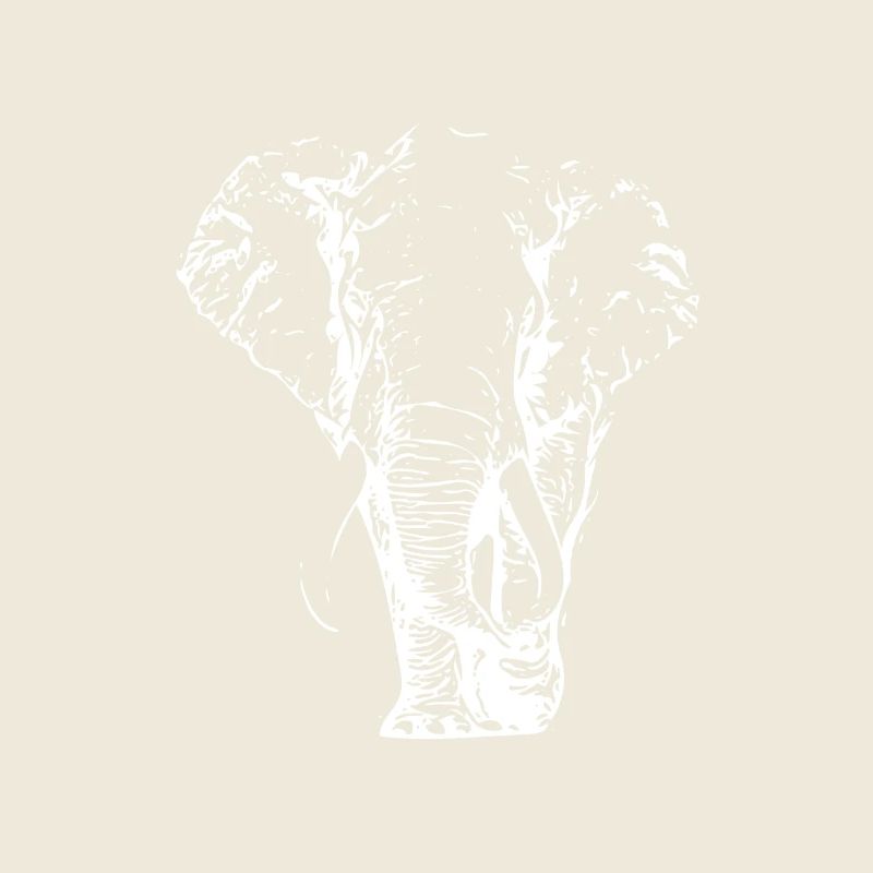 elephant blanc