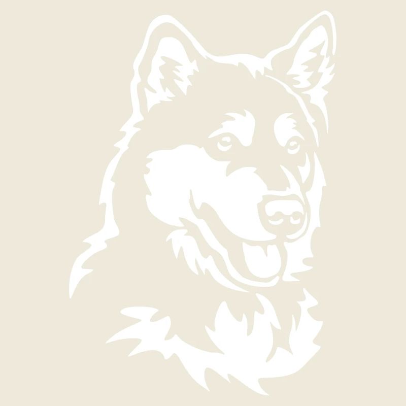 Tête de Malamute d’Alaska « Black Edition »