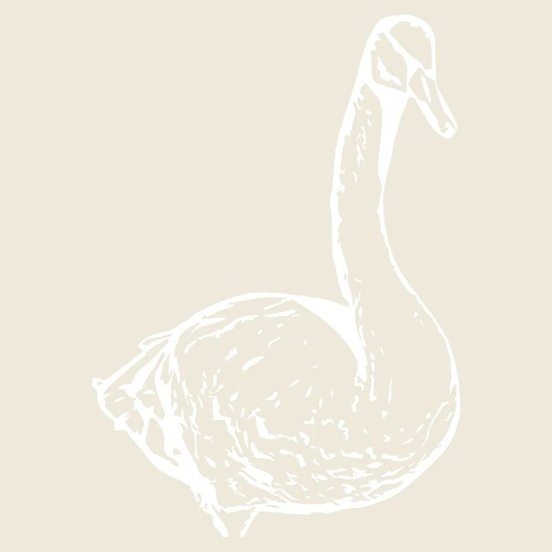 Swan White Duck Bird Goose