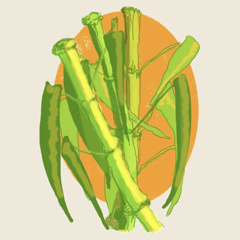 Bamboo Botanical Burst