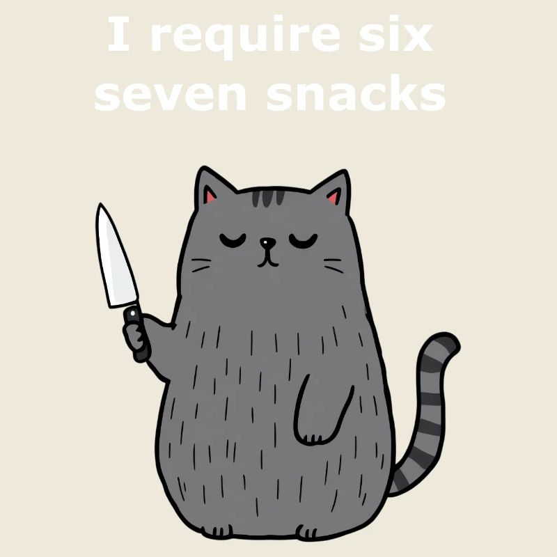6-7 Internet Meme 6 7 Snack Katze