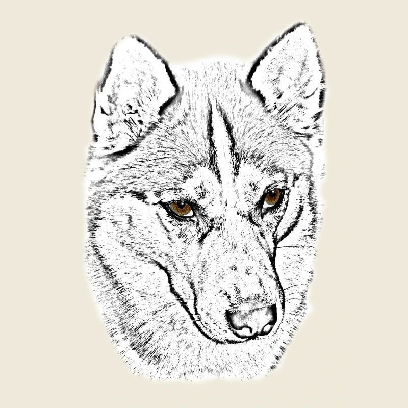 Wolfskopf Line Study