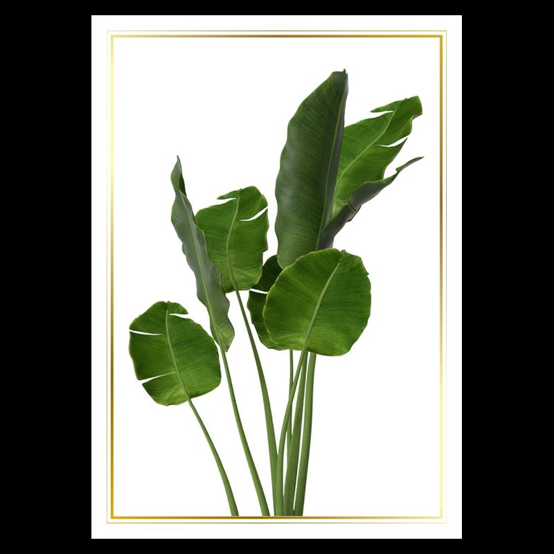 Banana Leaf Tropical Splendor