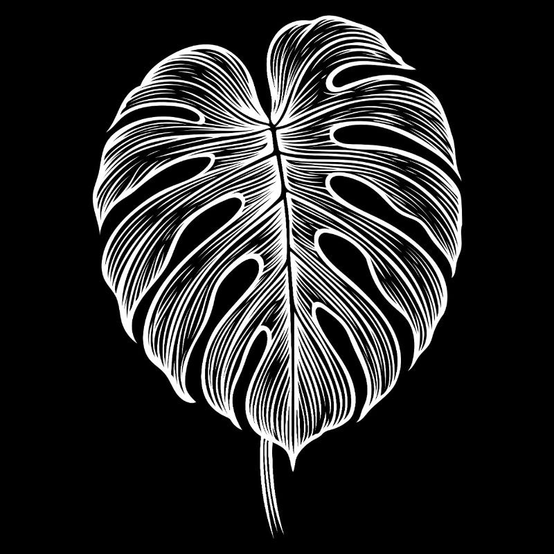 Monstera Leaf – Black White Nature Motif