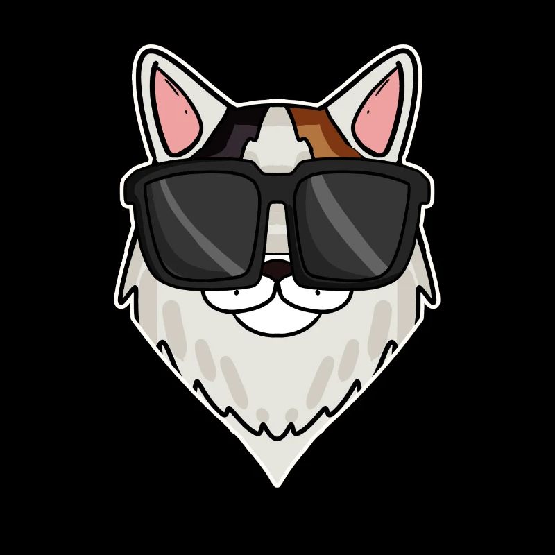 Chat cool avec des lunettes de soleil - race de chat turquoise