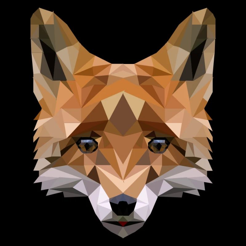 Polygon Fuchs