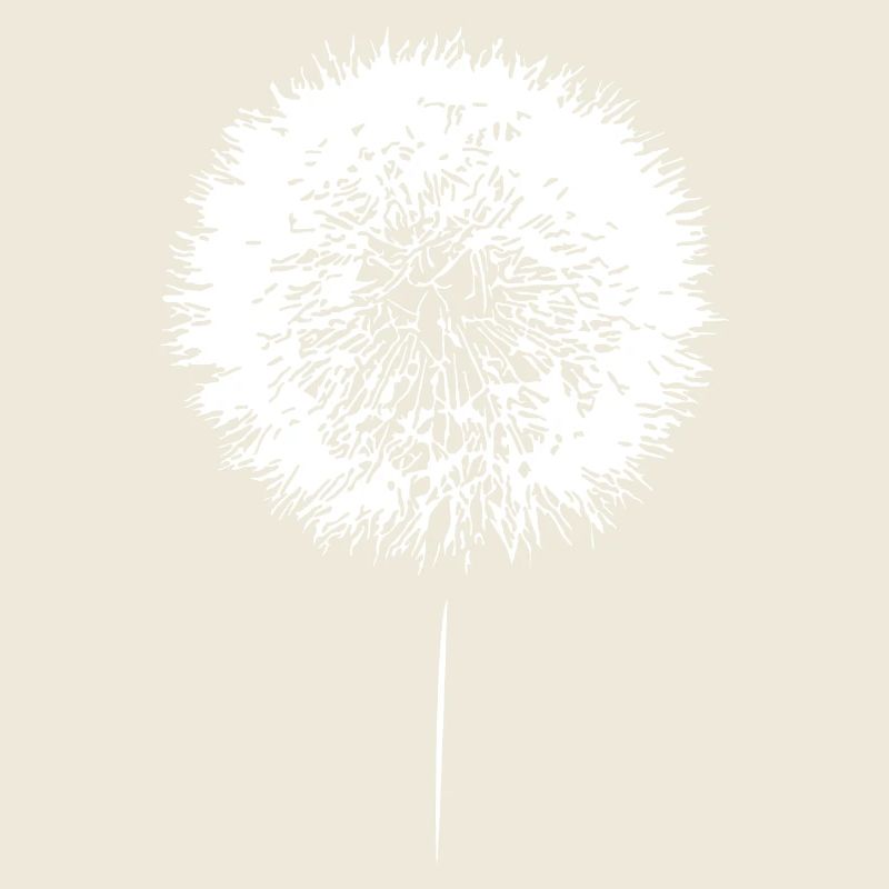 Löwenzahn Pusteblume Dandelion Samen