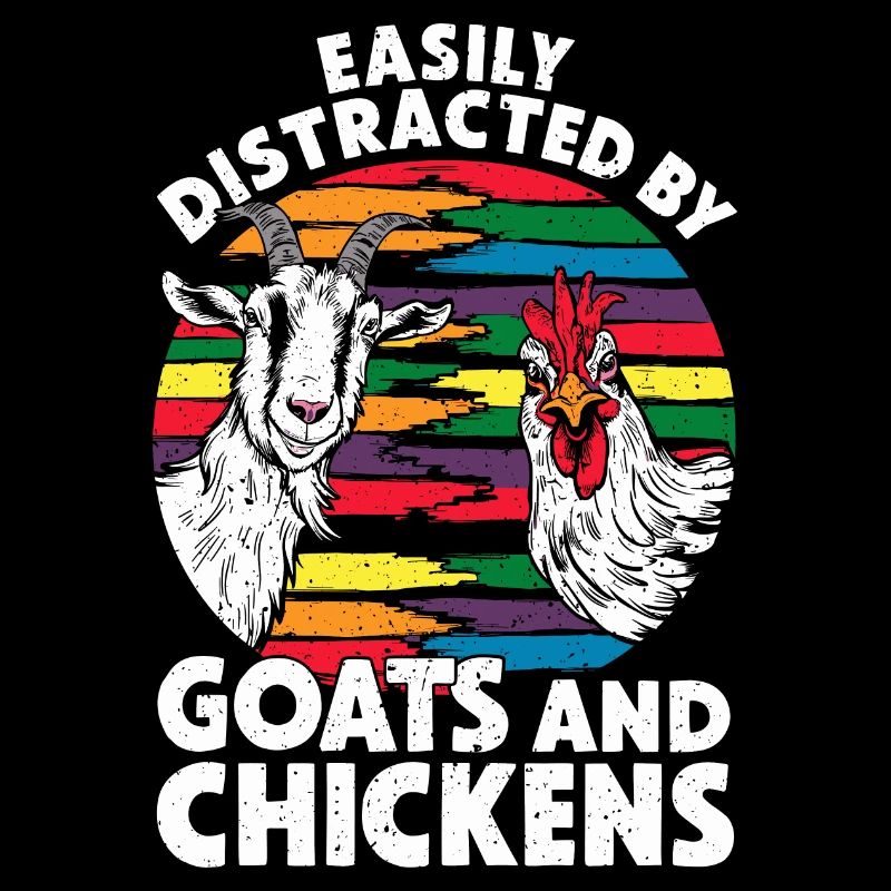 Facilement distrait par les chèvres et les poulets