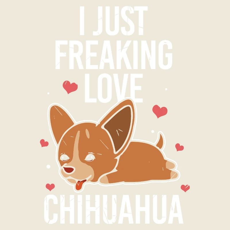 Ich liebe einfach Chihuahuas