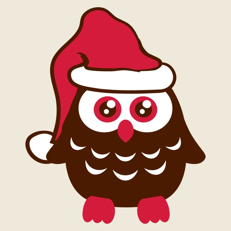 Eule Weihnachten Weihnachtsmann Mütze Winter süß