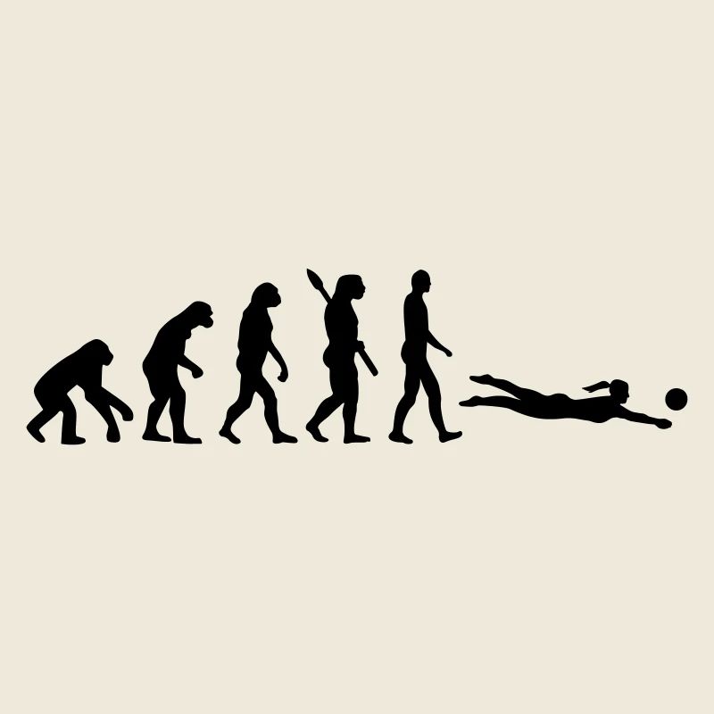 Evolution Beachvolleyball
