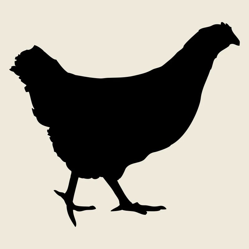 En cours d'exécution poule poulet