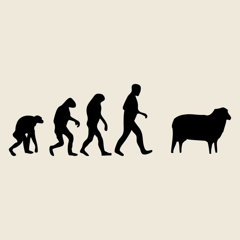 schaf evolution