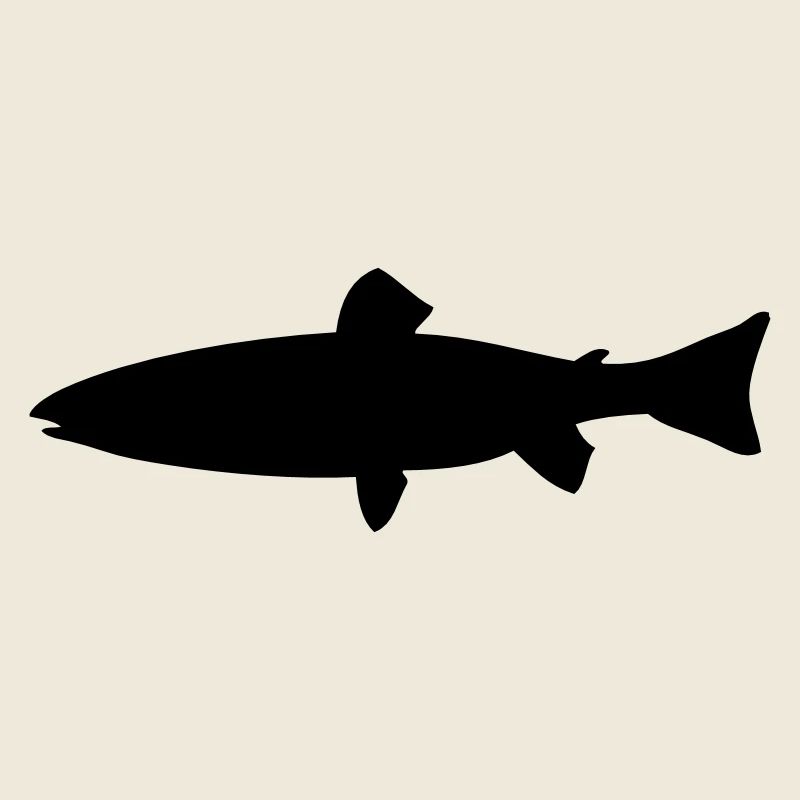 Meerforelle - Fisch - Fish