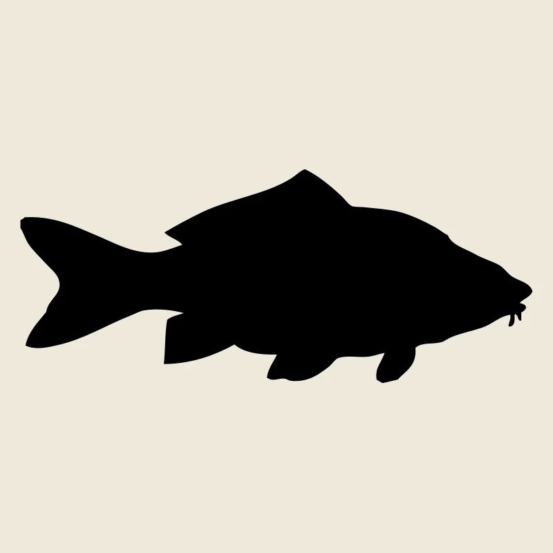 Karpfen - Fisch - Fish