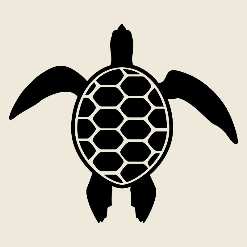 tortue