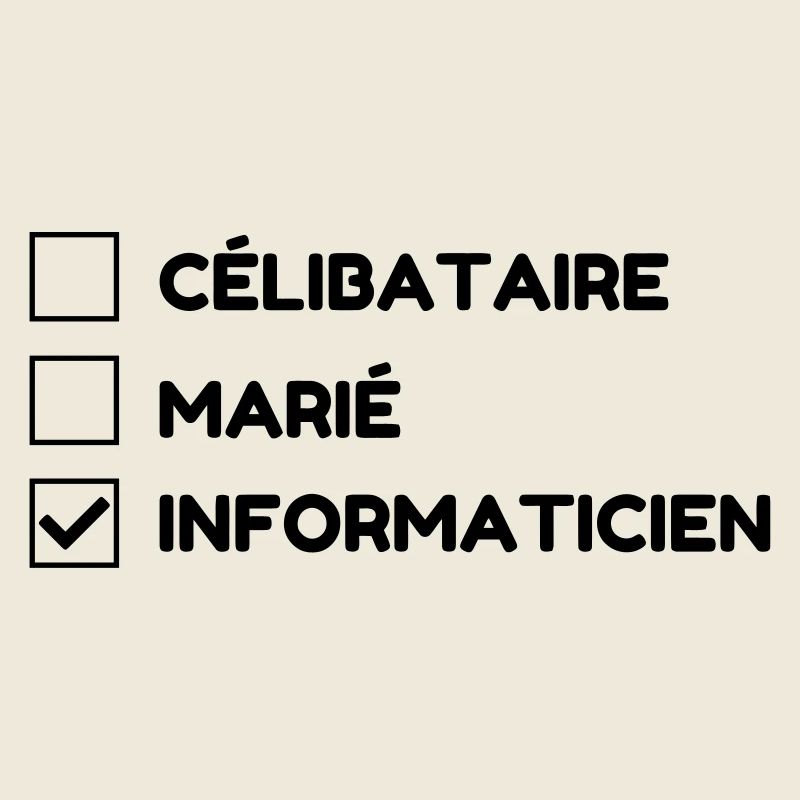 Computer Engineer Informatiker Informaticien