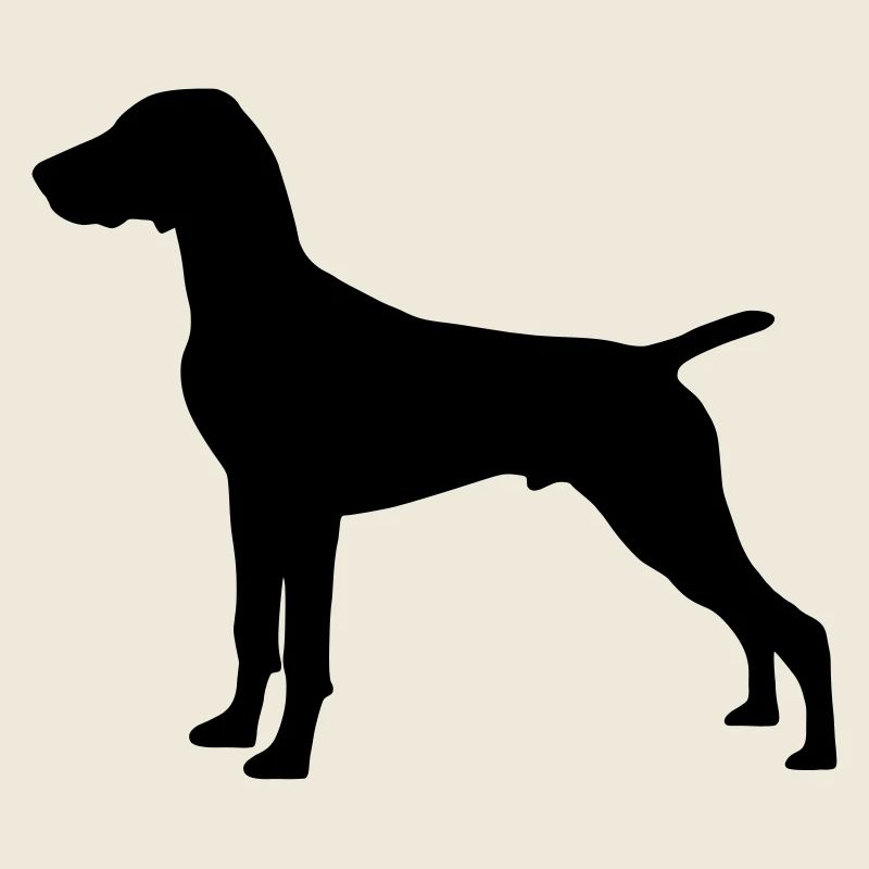 German Shorthaired Pointer
