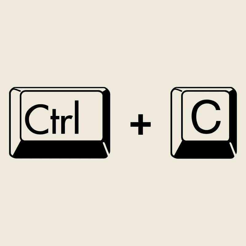 Copy Paste Funny Gift for Gemini