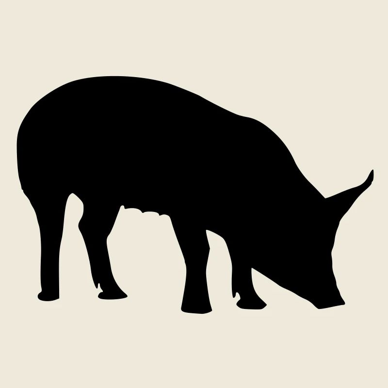 black pig