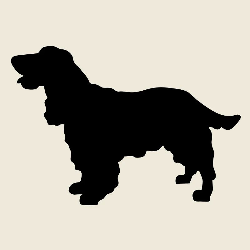 Cocker Spaniel Hund