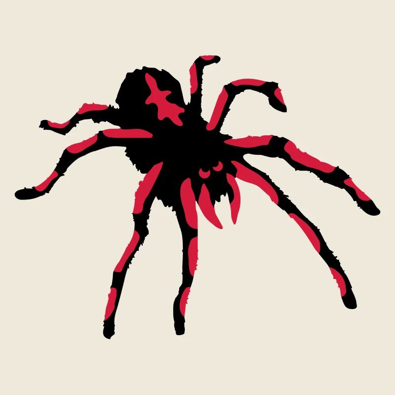 Tarantula Spider