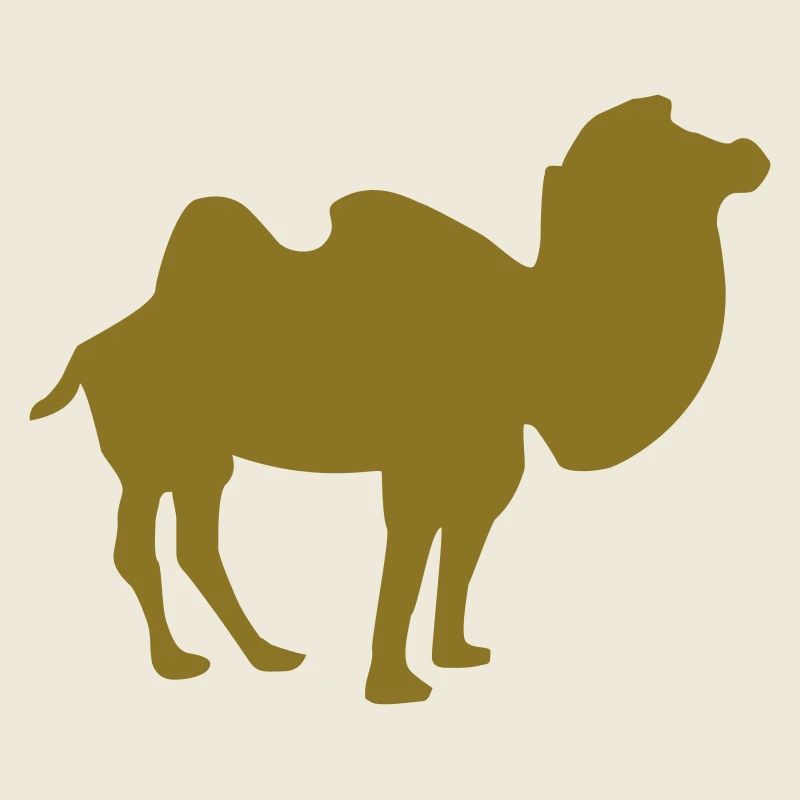 Camel