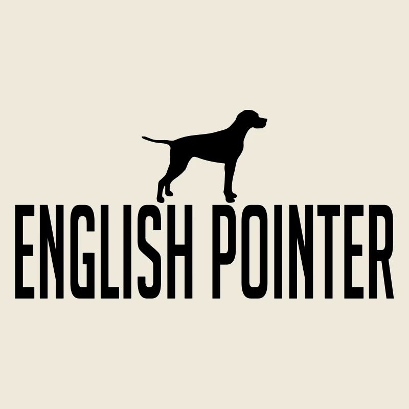 POINTER ANGLAIS race de chien