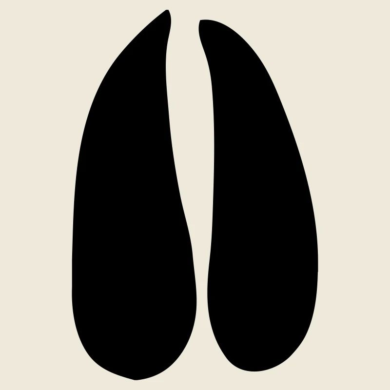 deer roe deer paw print