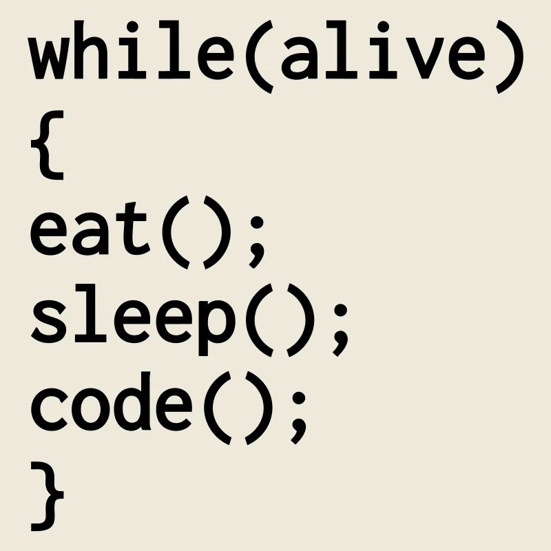 Developer Entwickler Développeur Computer Geek