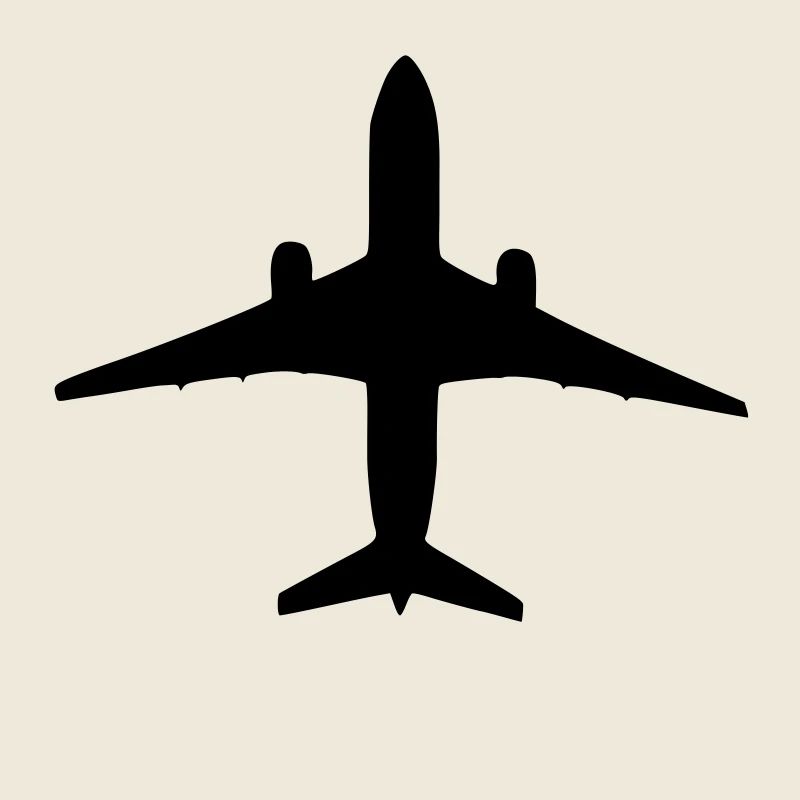 Flugzeug