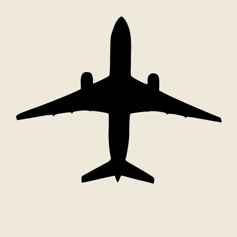 Flugzeug