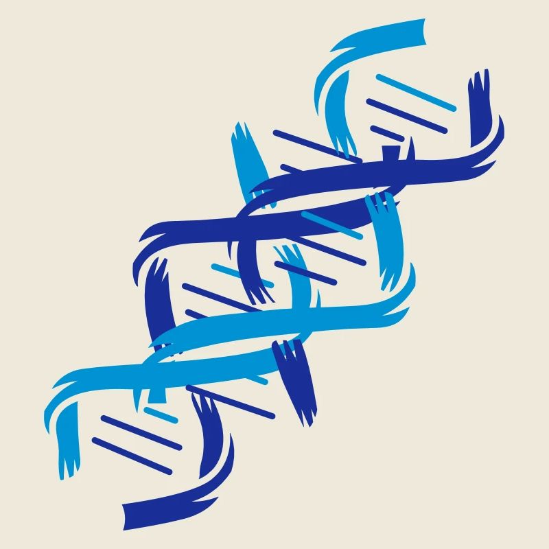 The structure of a DNA molecule
