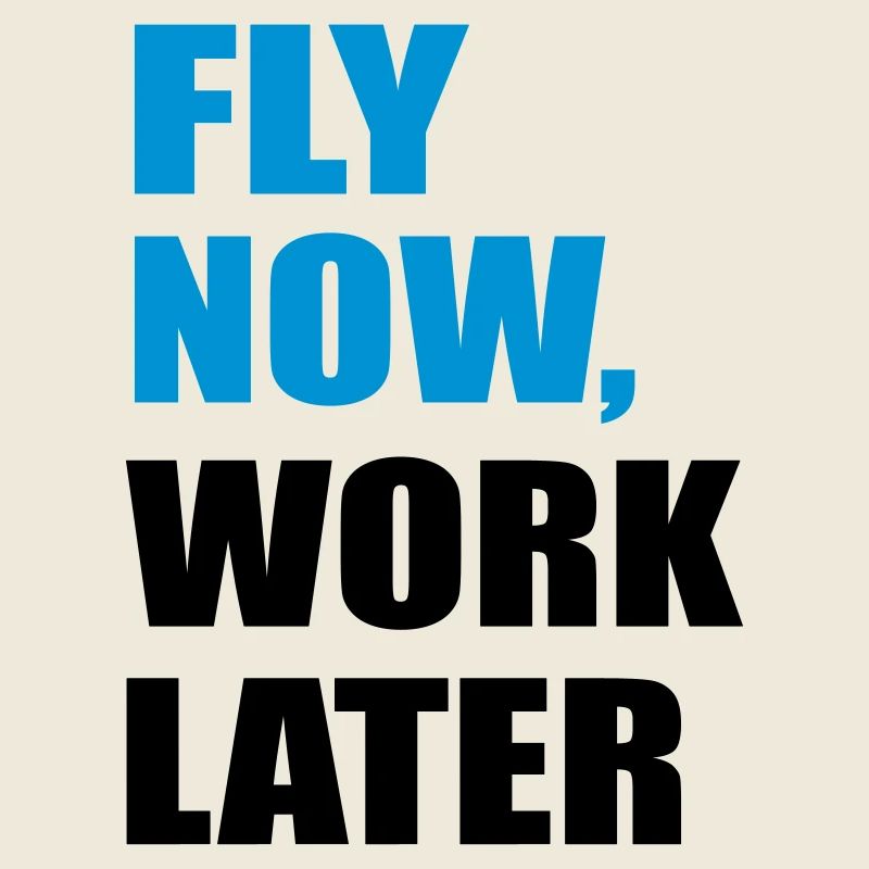 fly