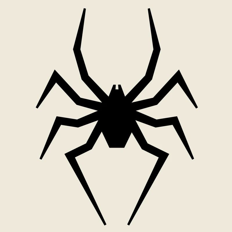 Spinne