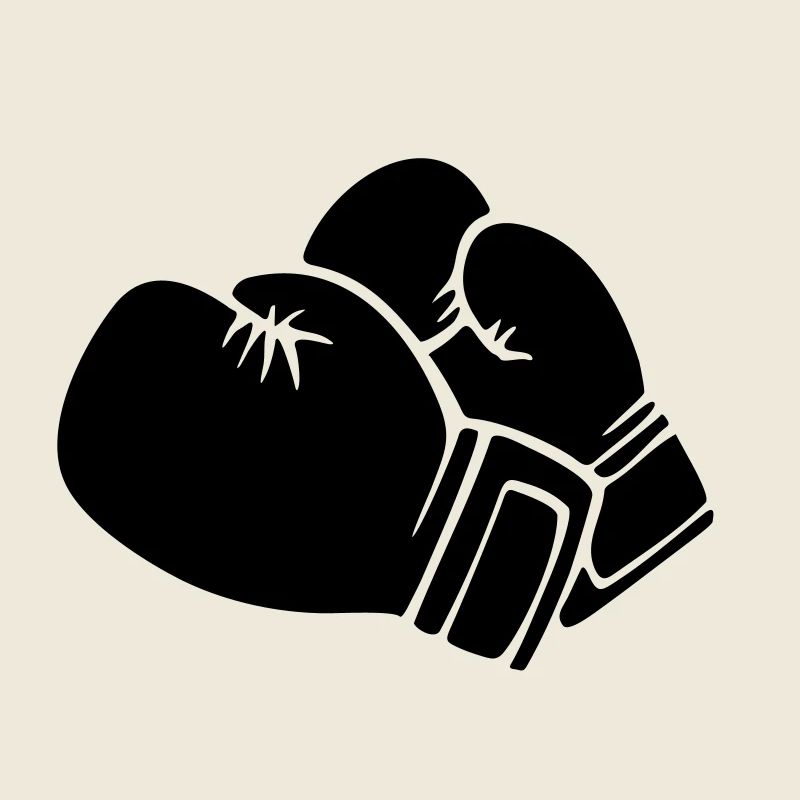 Gants de boxe / boxing gloves