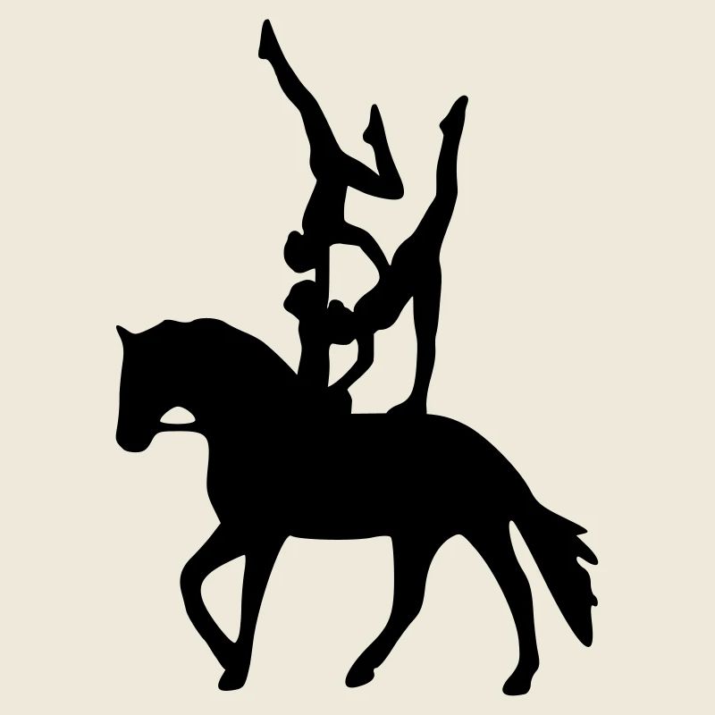 Vaulting three exercise freestyle