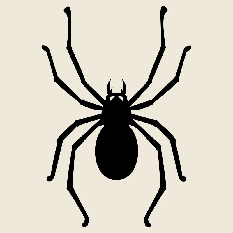 Spinne