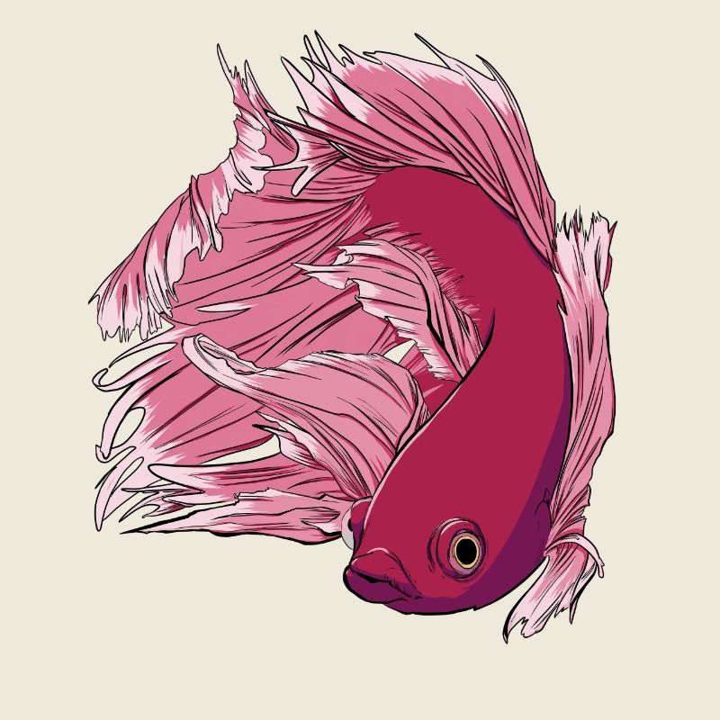 Betta Fisch