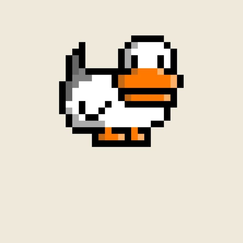 canard rétro