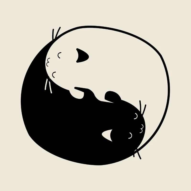 Cat yin yang