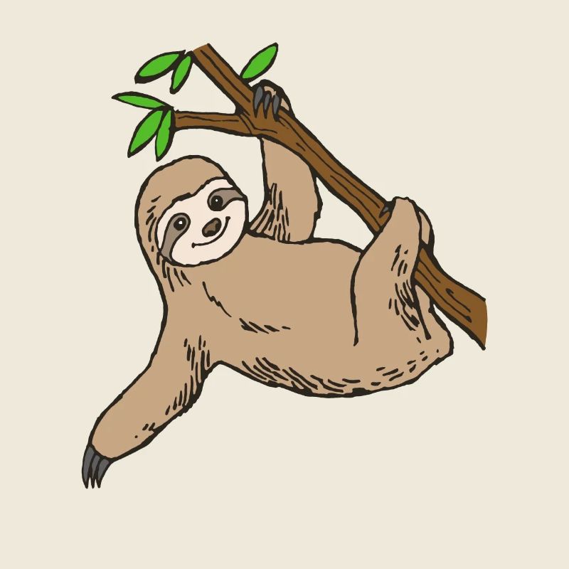 sloth