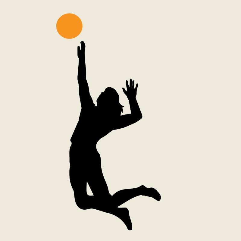 Volley-ball