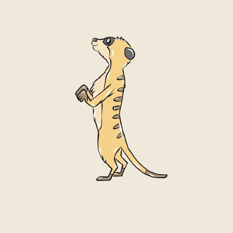 suricates