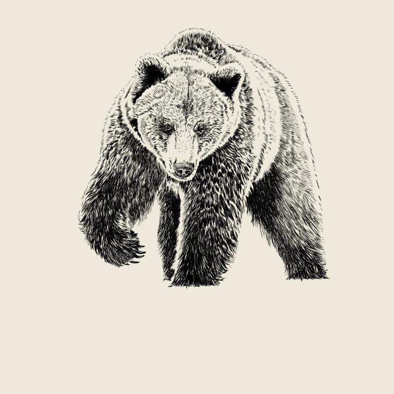 Bär