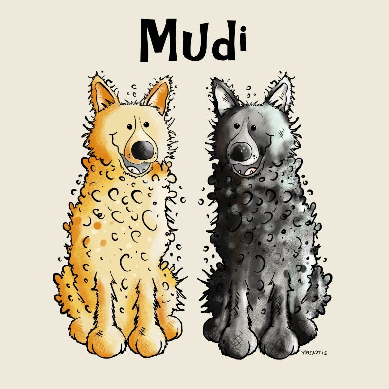 Two Mudis