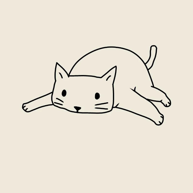Chat chats chaton