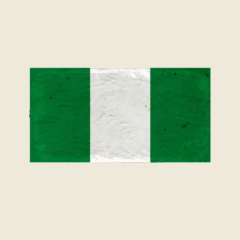 Nigeria's Flag Texture