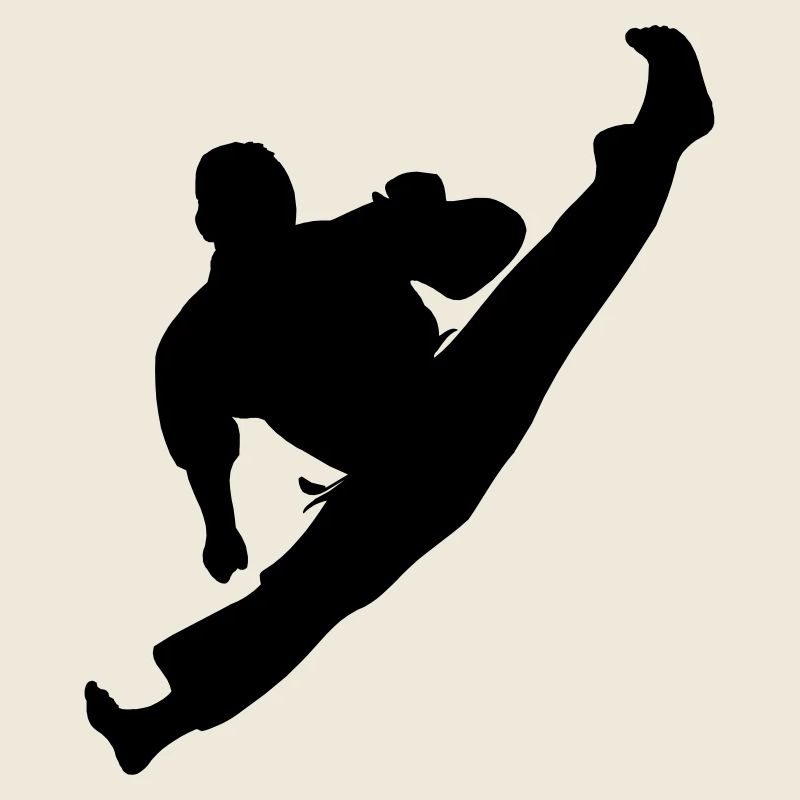 Jumpkick Geri Kick Karate oder Teakwondo